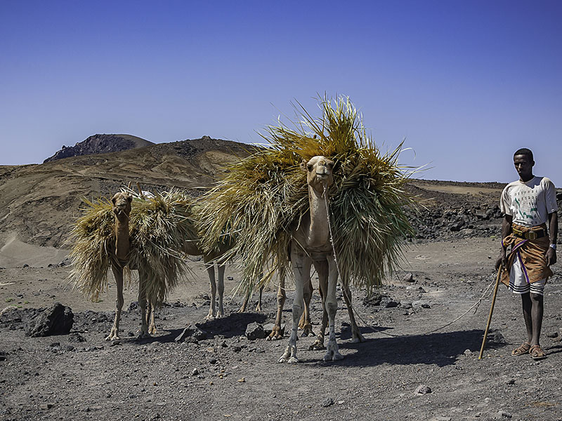 Djibouti